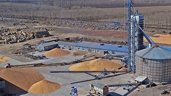 糧食烘干合作社如何做到年節(jié)省90萬元？利民萬佳鍋爐為您解析